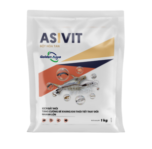 ASIVIT – Vitamin + Khoáng tổng hợp – Kích ăn, nhanh lớn