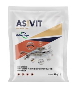 ASIVIT