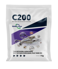 C200