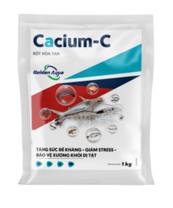 CACIL PLUS