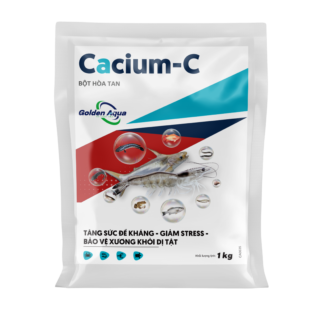 CACIL PLUS