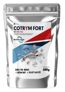 COTRYM FORT