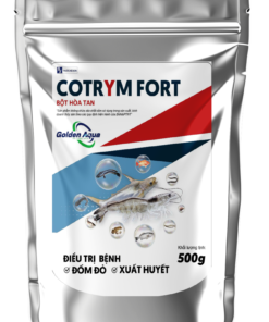COTRYM FORT