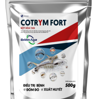COTRYM FORT