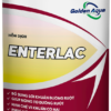 ENTERLAC