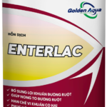 ENTERLAC – Lợi khuẩn – Nong to đường ruột, phục hồi tiêu hóa