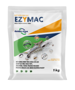 EZYMAC