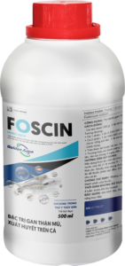 FOSCIN