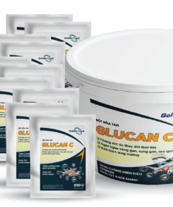GLUCAN C