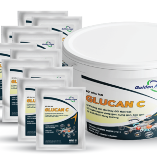 GLUCAN C