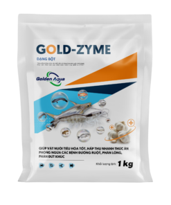 GOLD-ZYME