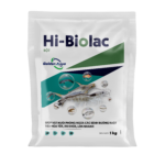 HI-BIOLAC – Bacillus spp. – Phòng chướng hơi, phân trắng, đứt khúc