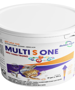 MULTIS ONE
