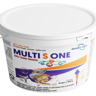 MULTIS ONE