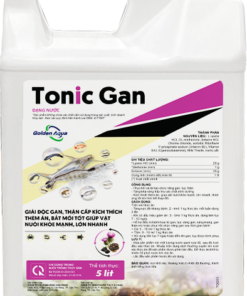 TONIC GAN
