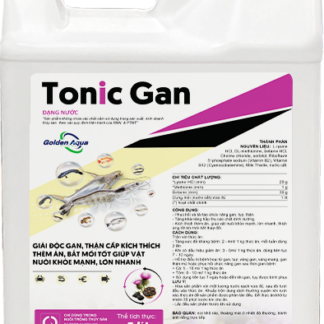 TONIC GAN