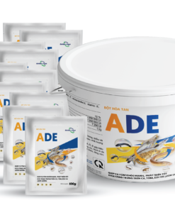 ADE