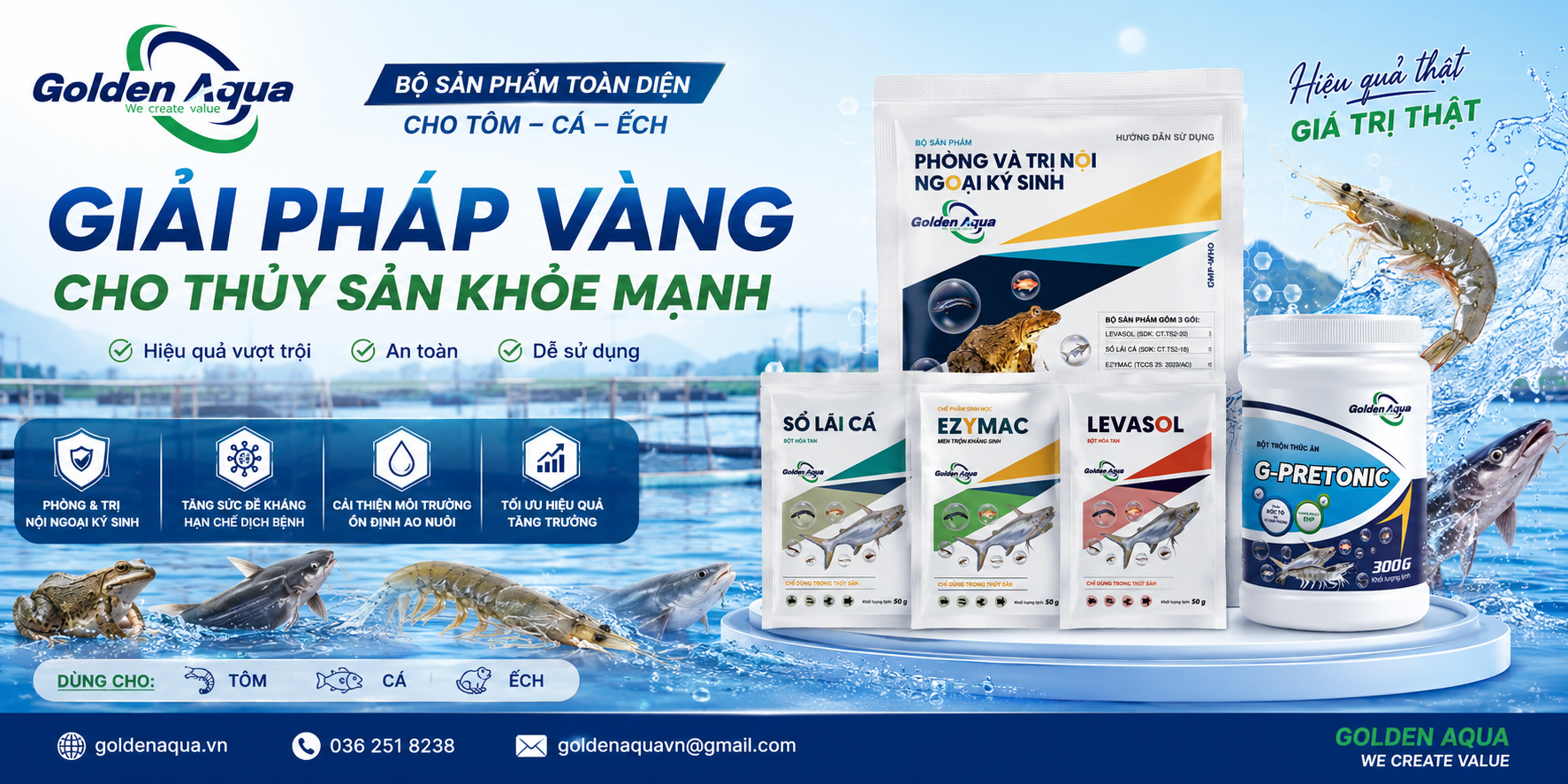 Banner Golden Aqua