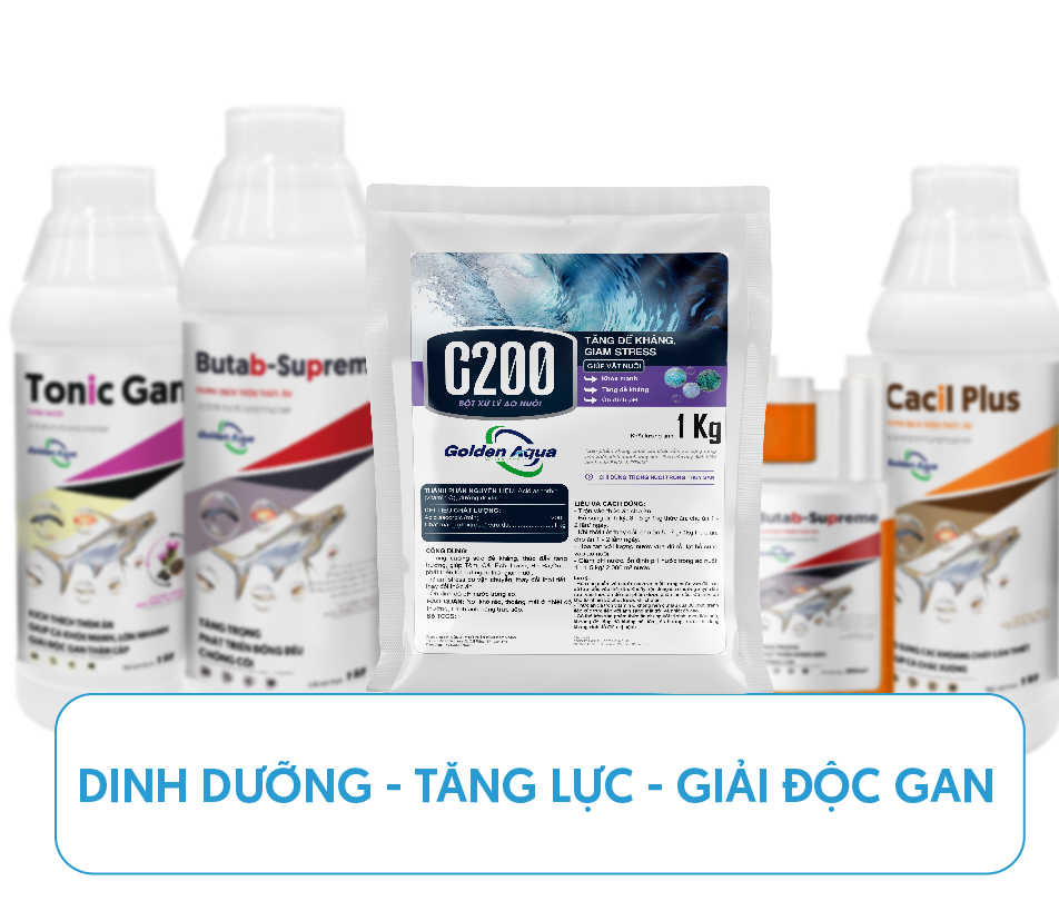 Dinh dưỡng & Gan tụy