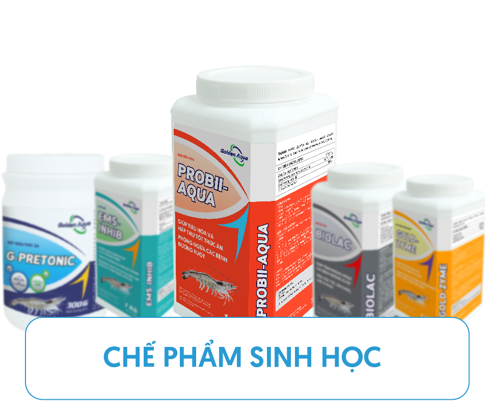 Xử lý môi trường