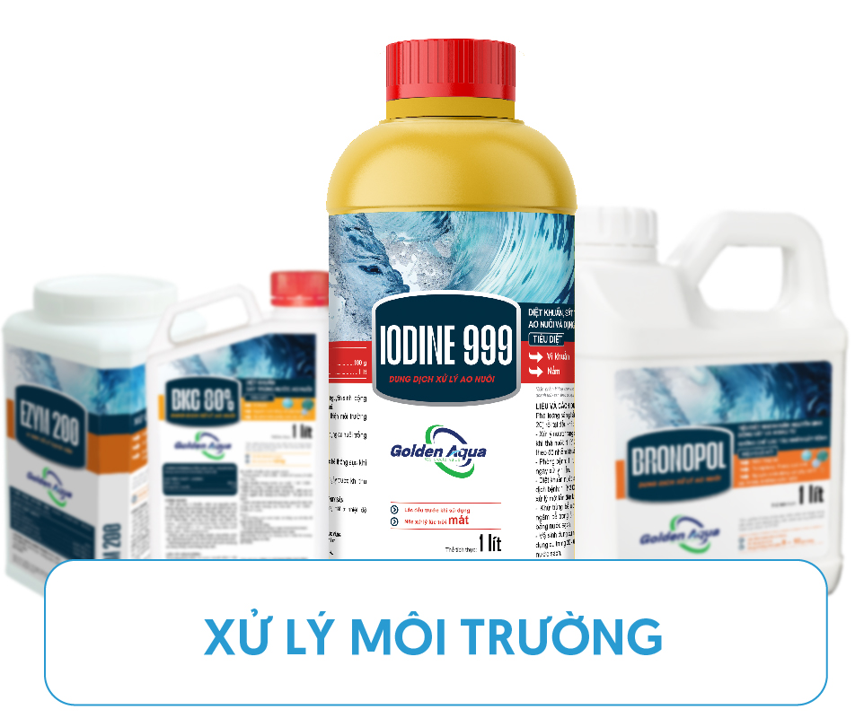 Quy trình & Giải pháp