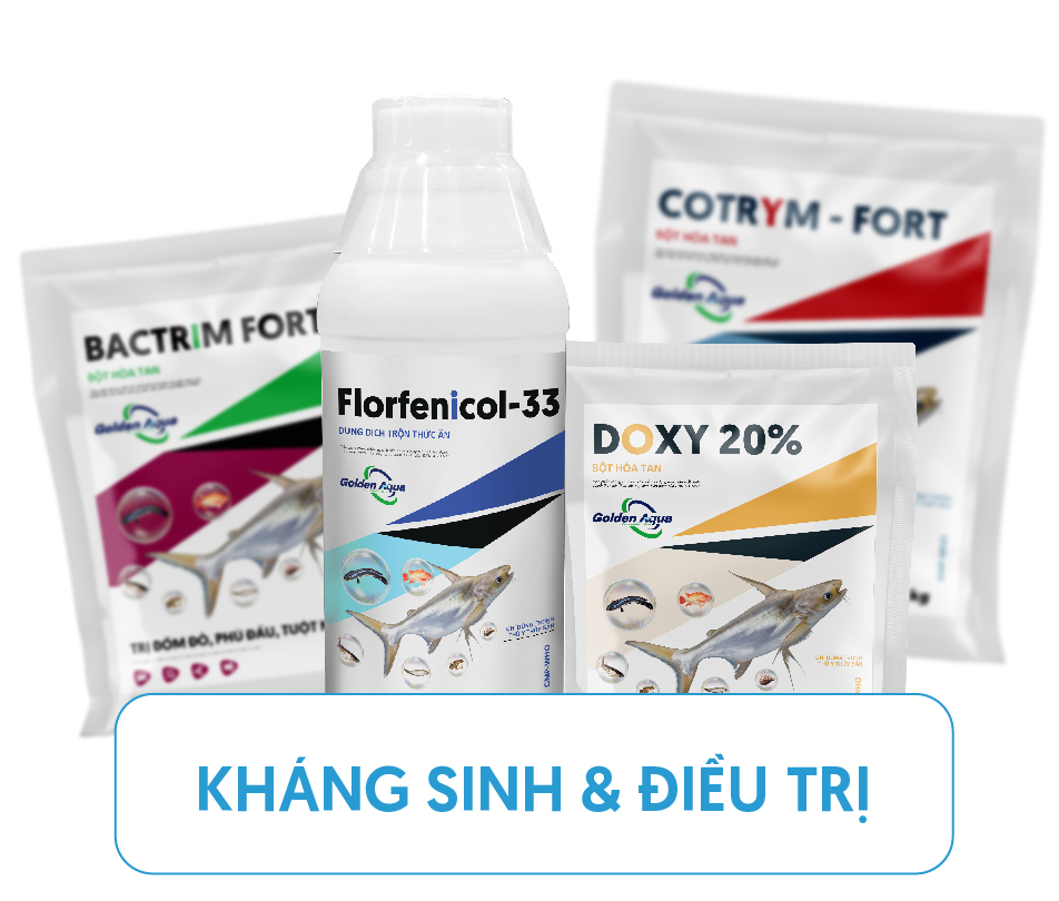 Kháng sinh điều trị